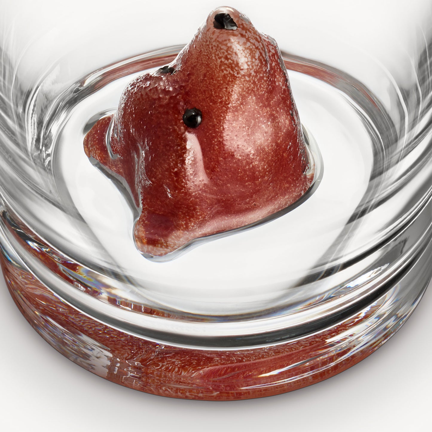 New Friends Tumbler Fox