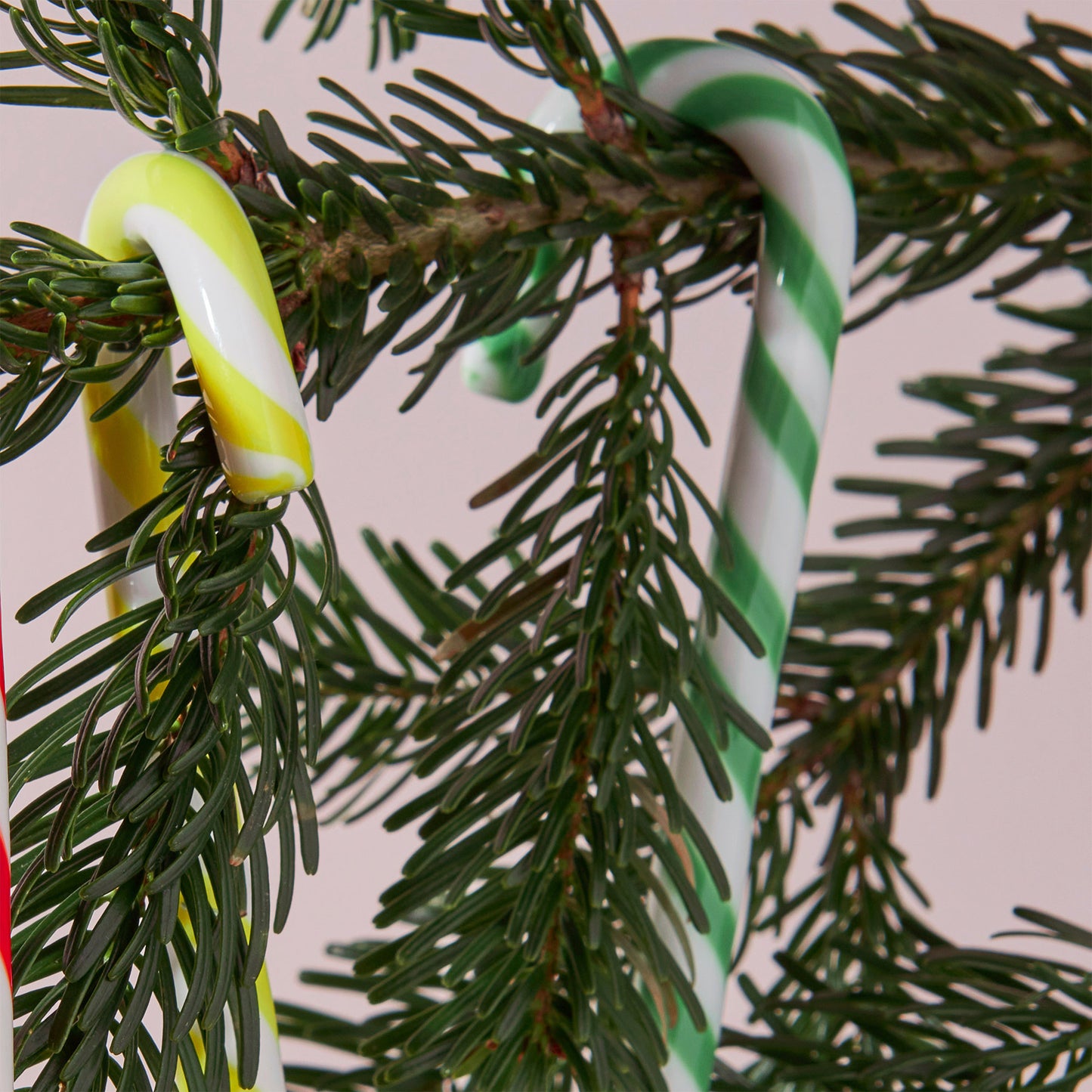 Polka Candy Cane Set of 3