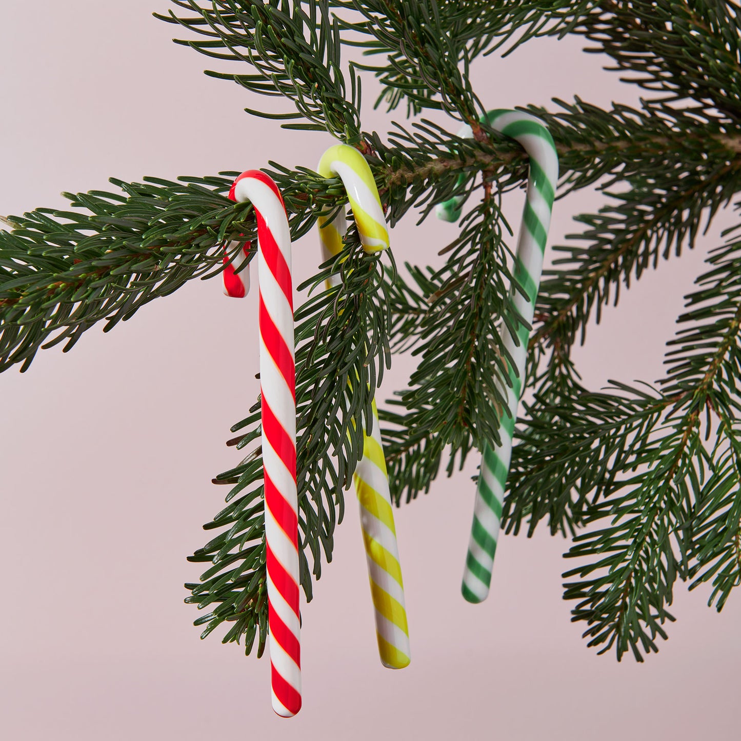 Polka Candy Cane White/Yellow