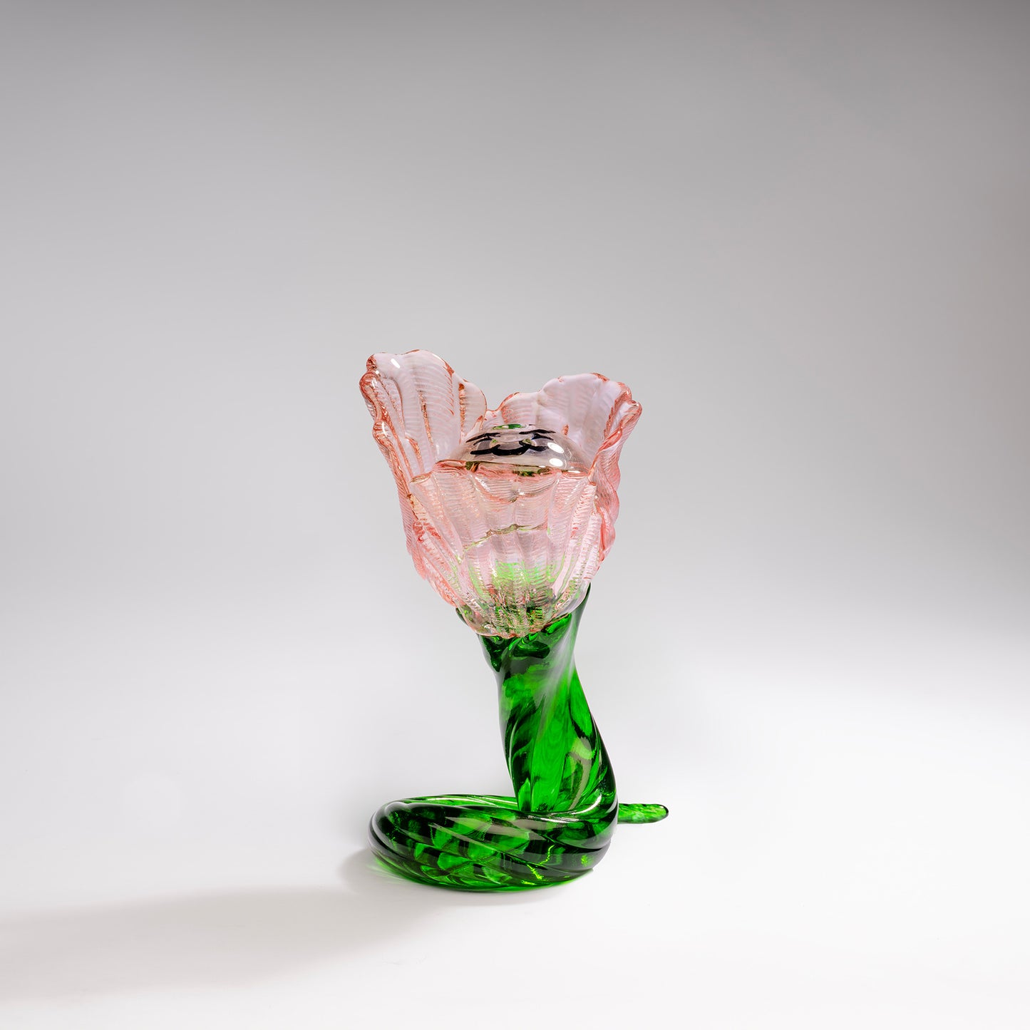 Flower Ld 100