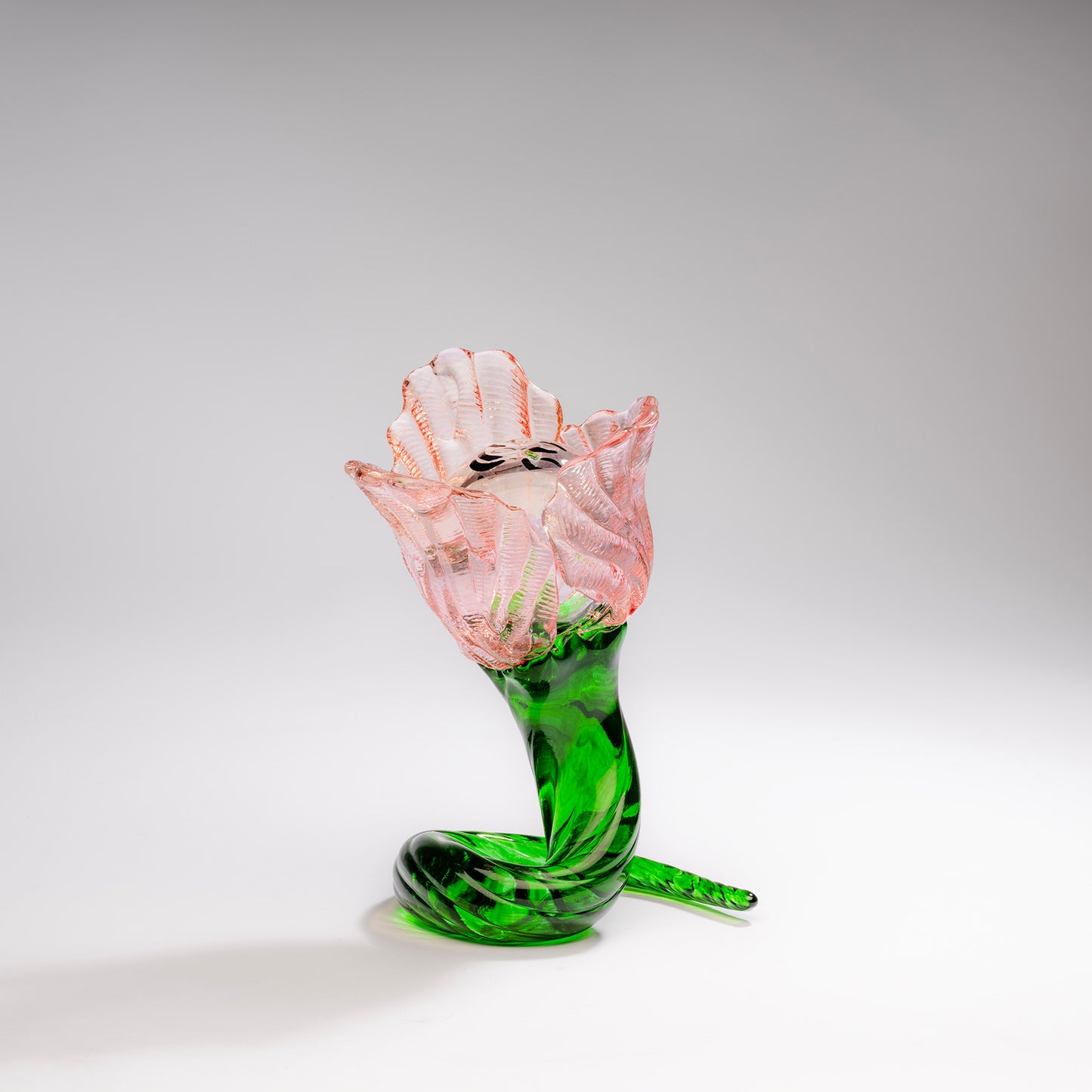 Flower Ld 100