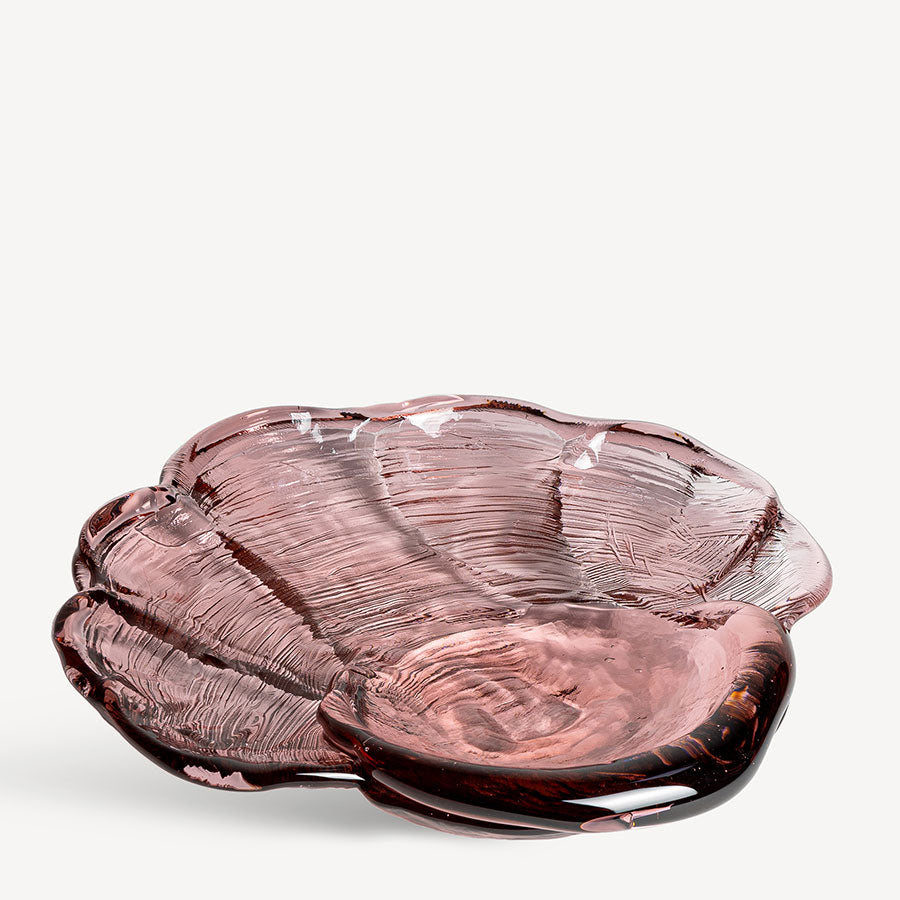 Venus Clam