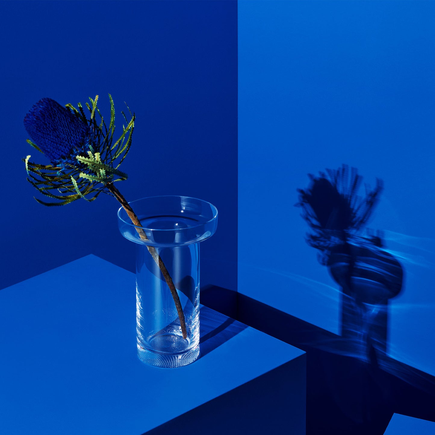 Limelight Vase Clear Tall