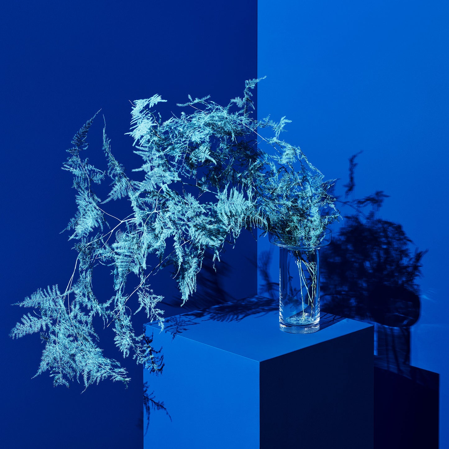 Limelight Vase Clear Tall
