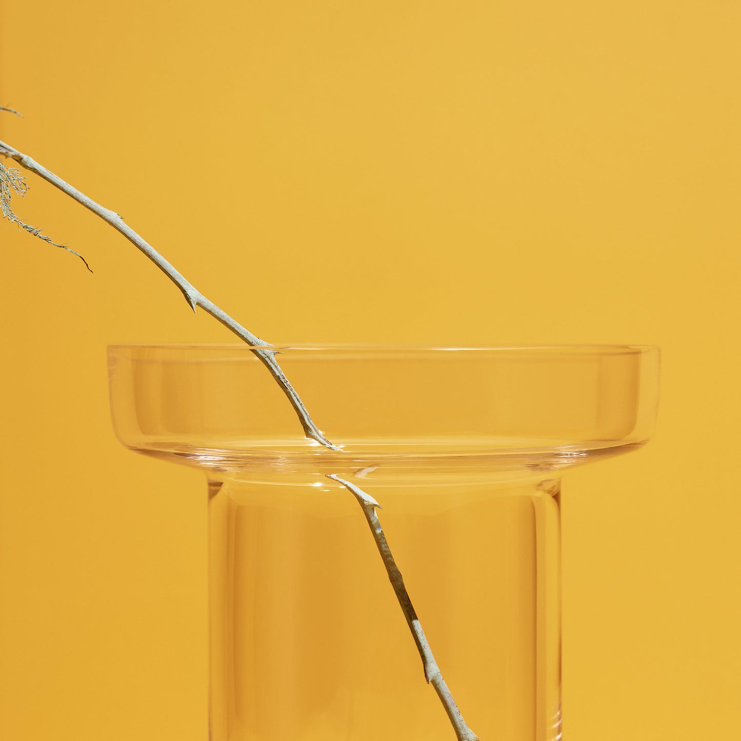 Limelight Vase Clear Tall