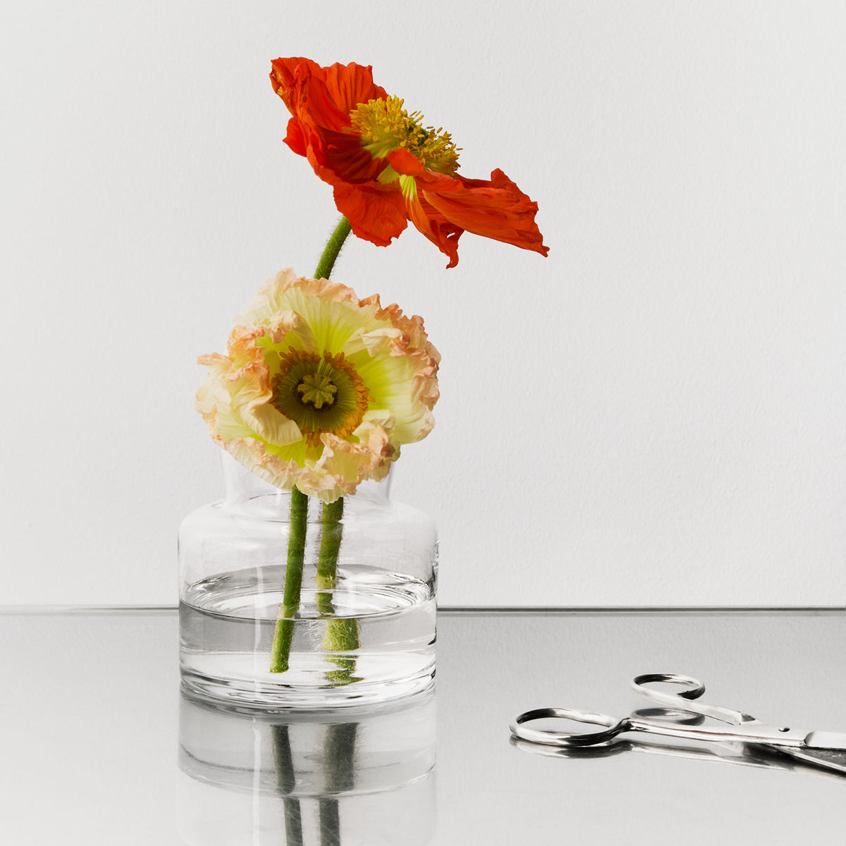 Meadow Vase Clear Small