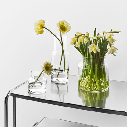 Meadow Vase Clear Small