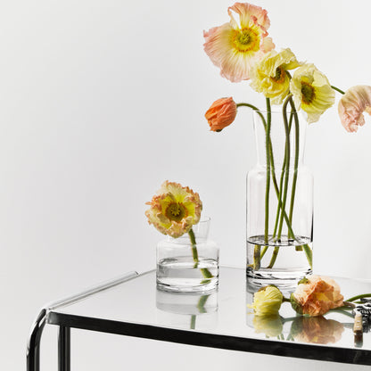 Meadow Vase Clear Small