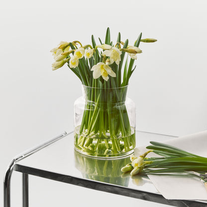 Meadow Vase Clear Wide