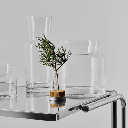 Meadow Vase Clear Tall
