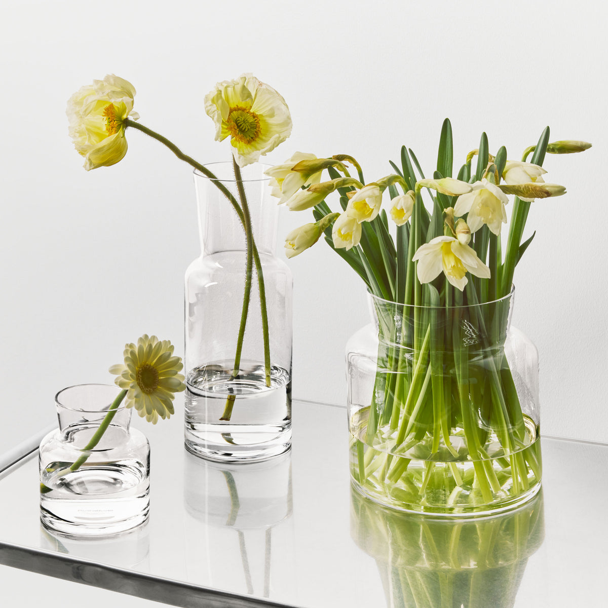 Meadow Vase Clear Tall