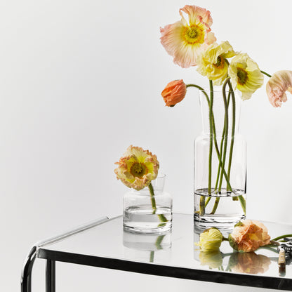 Meadow Vase Clear Tall