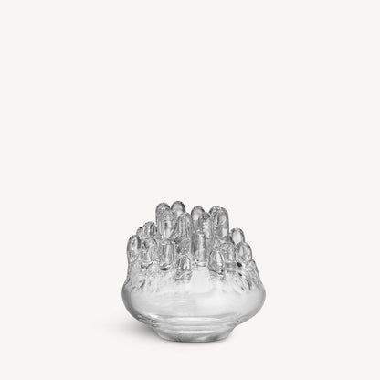 Polar Clear Small