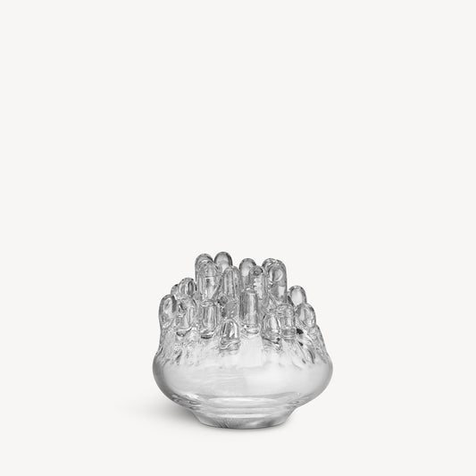 Polar Clear Small