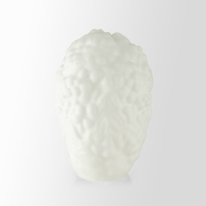 Gyromitra White EEÅ Unique