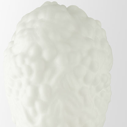 Gyromitra White EEÅ Unique