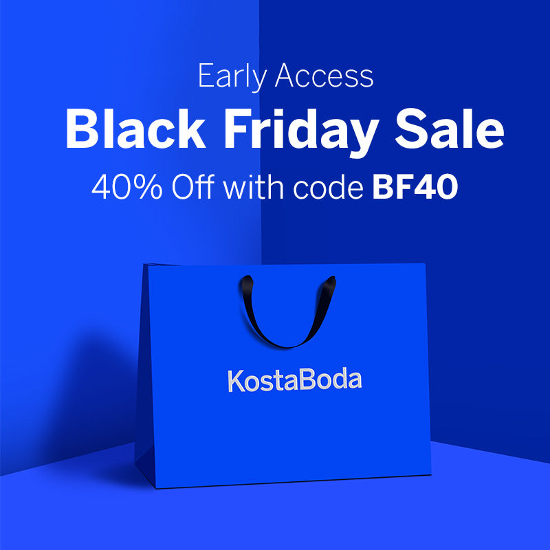 Early Access Black Friday Sale