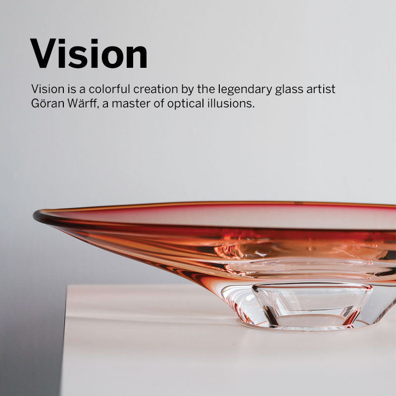 Vision