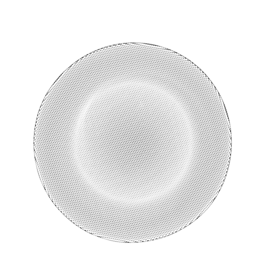 Limelight Dinner Plate 2-pack
